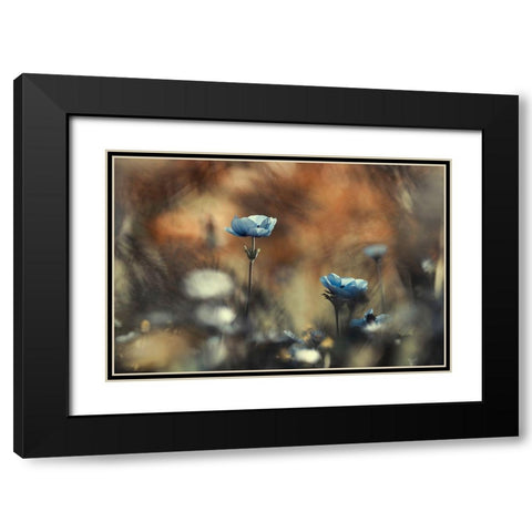 Let Flowers Rule The World Black Modern Wood Framed Art Print with Double Matting by Bravin, Fabien