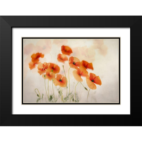 Waving In The Wind Black Modern Wood Framed Art Print with Double Matting by Talen, Nel