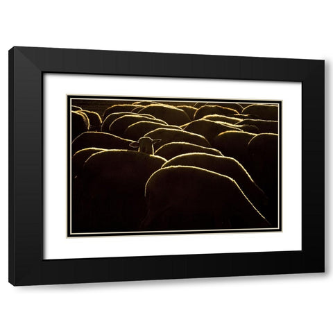 Confused Black Modern Wood Framed Art Print with Double Matting by Bagci, Emir