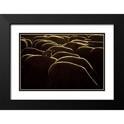 Confused Black Modern Wood Framed Art Print with Double Matting by Bagci, Emir