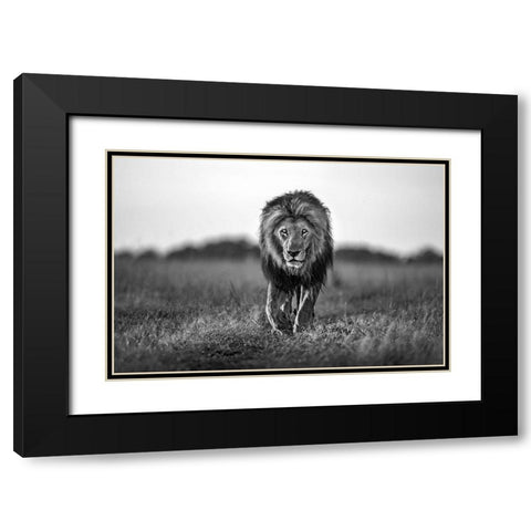 Old Boy Black Modern Wood Framed Art Print with Double Matting by Ortega, Xavier