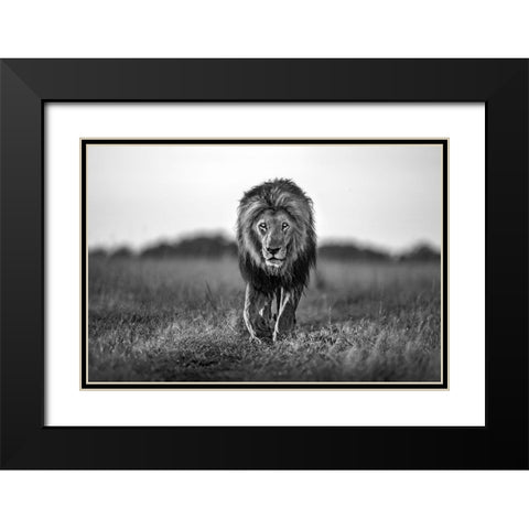 Old Boy Black Modern Wood Framed Art Print with Double Matting by Ortega, Xavier