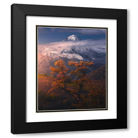 Autumnal Theme In Alborz Mountains Black Modern Wood Framed Art Print with Double Matting by Behzad, Majid
