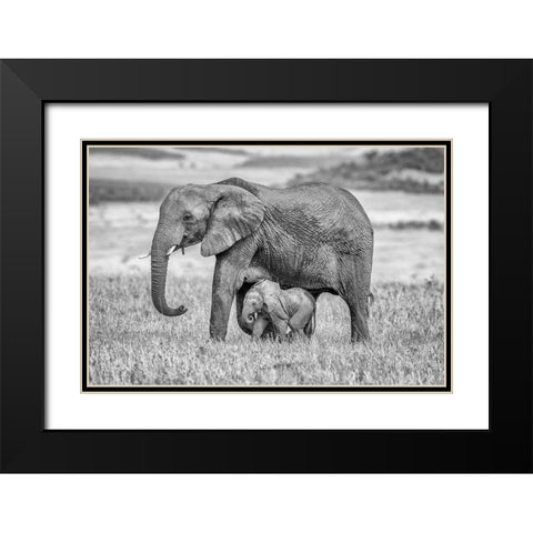Staying Close And Protected Black Modern Wood Framed Art Print with Double Matting by C. Sink, Jeffrey