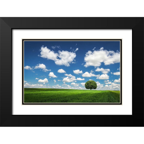 Lonely Tree Black Modern Wood Framed Art Print with Double Matting by Hamiti, Bess