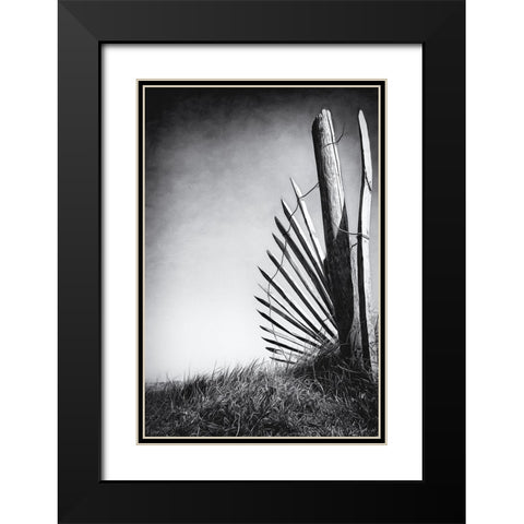 No (Of)Fence In The Dunes Black Modern Wood Framed Art Print with Double Matting by Flour, Bruno