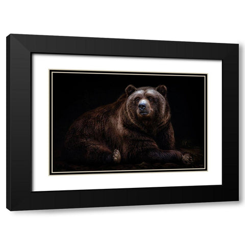 Bear Portrait Black Modern Wood Framed Art Print with Double Matting by Pascual Buye, Santiago