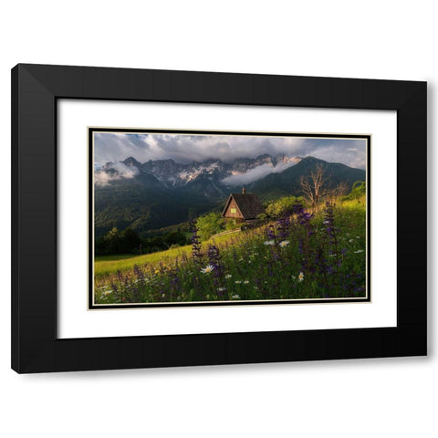 On The Meadows Black Modern Wood Framed Art Print with Double Matting by Krivec, Ales
