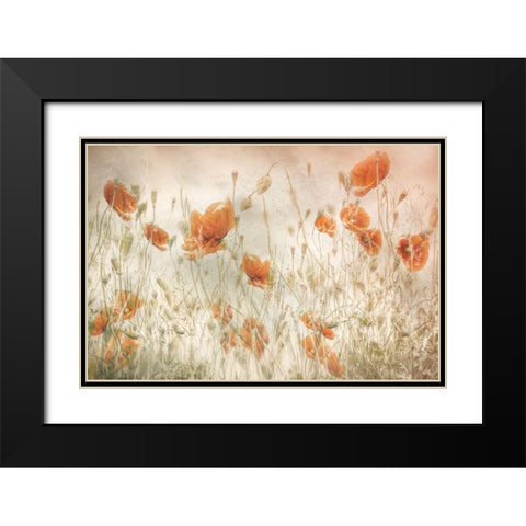 Poppies In The Field Black Modern Wood Framed Art Print with Double Matting by Talen, Nel