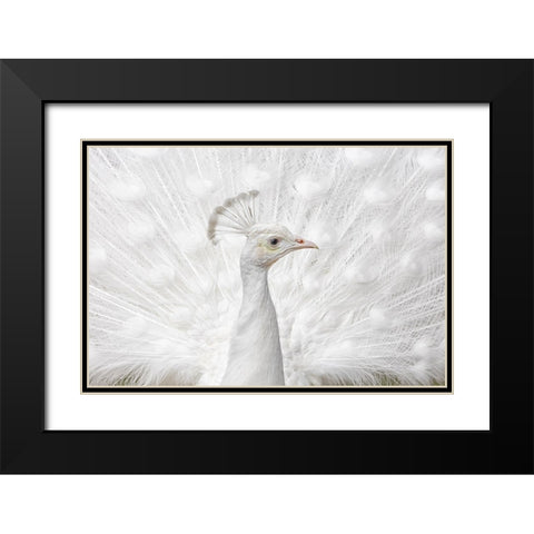 Inmaculate Black Modern Wood Framed Art Print with Double Matting by Fegari