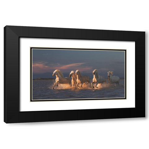 Camargue Horses On Sunset Black Modern Wood Framed Art Print with Double Matting by Anton, Rostovskiy