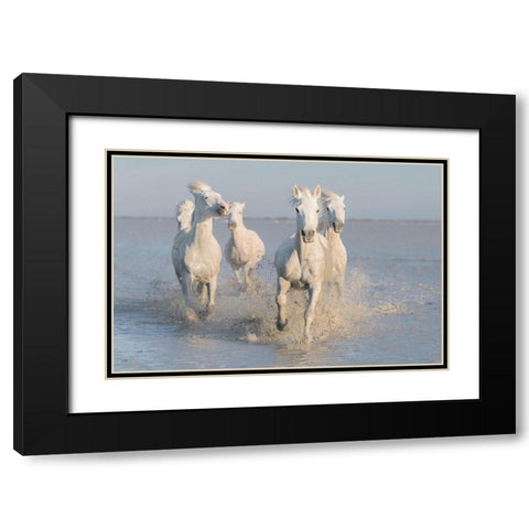 Horses Black Modern Wood Framed Art Print with Double Matting by Anton, Rostovskiy
