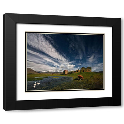 Country Life Black Modern Wood Framed Art Print with Double Matting by H. Ingibergsson, Torsteinn