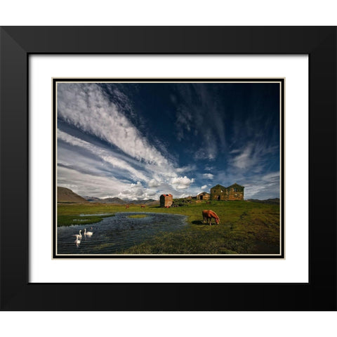 Country Life Black Modern Wood Framed Art Print with Double Matting by H. Ingibergsson, Torsteinn