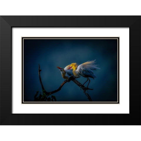Season Of Joy Black Modern Wood Framed Art Print with Double Matting by Yamashita, Takafumi