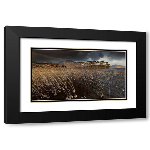 Pine Island Black Modern Wood Framed Art Print with Double Matting by Krocka, Peter