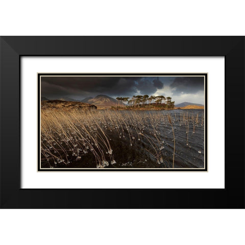 Pine Island Black Modern Wood Framed Art Print with Double Matting by Krocka, Peter