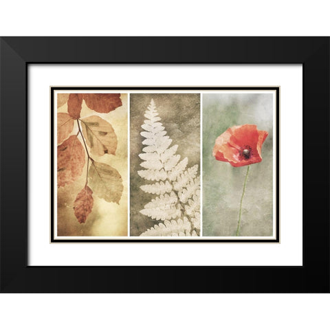 Untitled Black Modern Wood Framed Art Print with Double Matting by Davidsson, Gustav