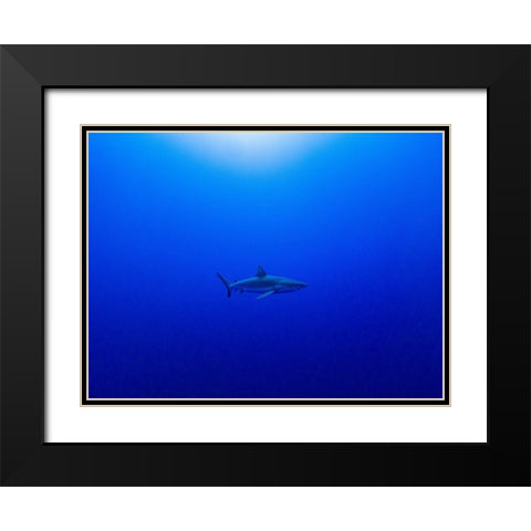 Into The Blue Black Modern Wood Framed Art Print with Double Matting by Melesan, Serge