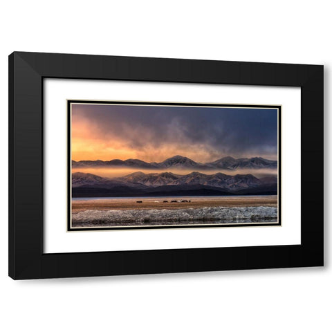 Qinghai (EÂ?Aemm) Black Modern Wood Framed Art Print with Double Matting by Deng, Larry