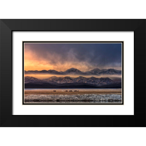 Qinghai (EÂ?Aemm) Black Modern Wood Framed Art Print with Double Matting by Deng, Larry