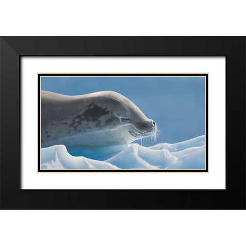 Peaceful Black Modern Wood Framed Art Print with Double Matting by Wang, Yun