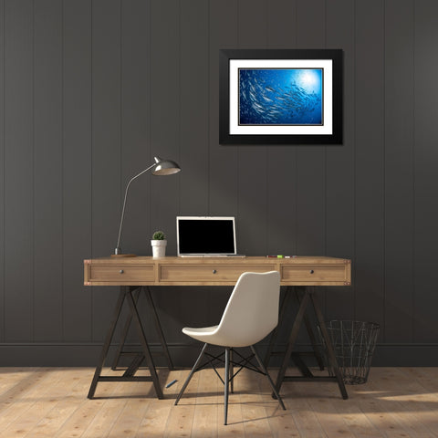 A School Of Trevaly Black Modern Wood Framed Art Print with Double Matting by Gabriel, Barathieu