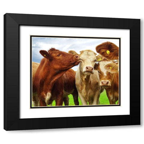 Pre Shoot Black Modern Wood Framed Art Print with Double Matting by Clark, Ray