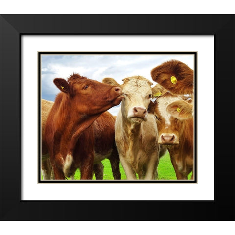 Pre Shoot Black Modern Wood Framed Art Print with Double Matting by Clark, Ray