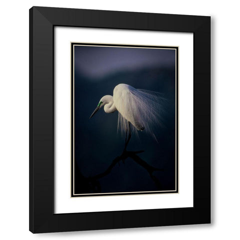 Beautiful Ornament Feathers Black Modern Wood Framed Art Print with Double Matting by Yamashita, Takafumi