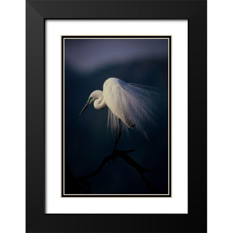 Beautiful Ornament Feathers Black Modern Wood Framed Art Print with Double Matting by Yamashita, Takafumi
