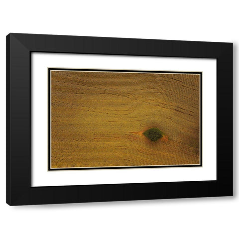 Eye In Field Black Modern Wood Framed Art Print with Double Matting by Zheng, Michael