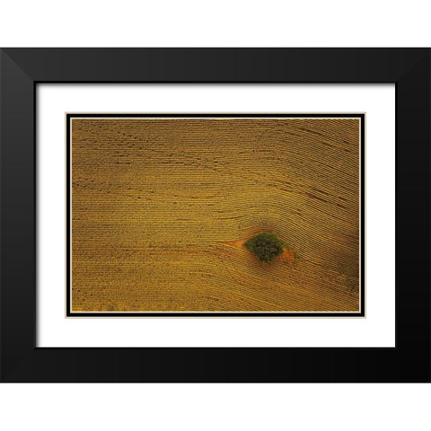Eye In Field Black Modern Wood Framed Art Print with Double Matting by Zheng, Michael