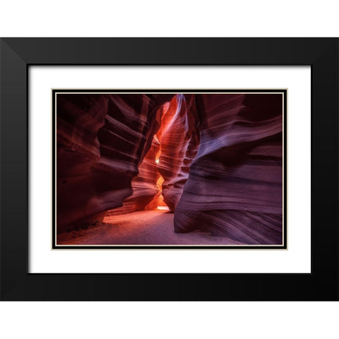 Antelope Black Modern Wood Framed Art Print with Double Matting by Alvarez Osorio, Cesar