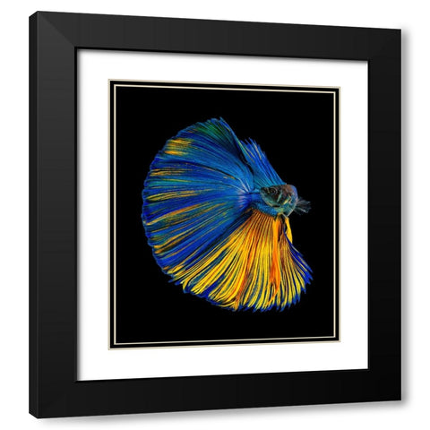 Yellow A Blue Black Modern Wood Framed Art Print with Double Matting by Halil, Andi