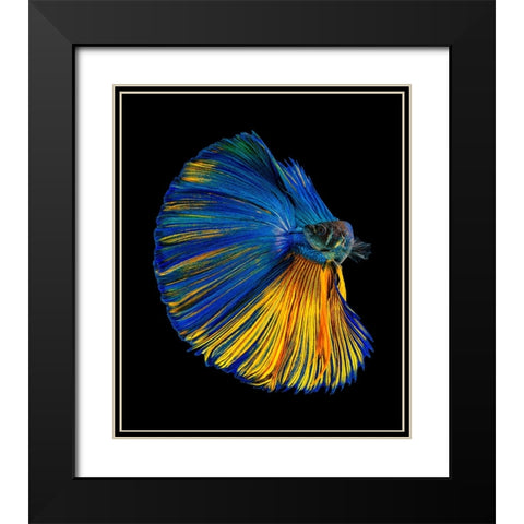 Yellow A Blue Black Modern Wood Framed Art Print with Double Matting by Halil, Andi
