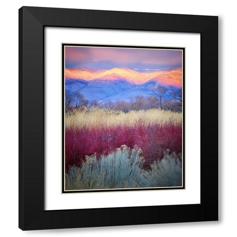 Field Layers Black Modern Wood Framed Art Print with Double Matting by Kirbyturnage