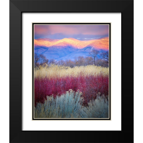 Field Layers Black Modern Wood Framed Art Print with Double Matting by Kirbyturnage