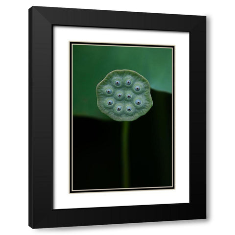 A Lotus Black Modern Wood Framed Art Print with Double Matting by Liu, Yanny