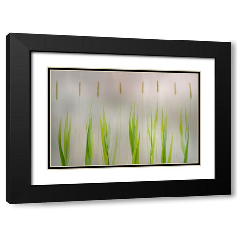 Harmony Black Modern Wood Framed Art Print with Double Matting by Van Son, Greetje