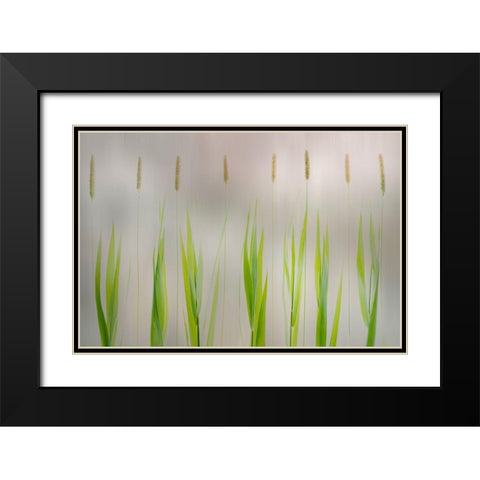 Harmony Black Modern Wood Framed Art Print with Double Matting by Van Son, Greetje
