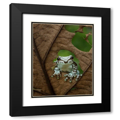 Looking At Window Black Modern Wood Framed Art Print with Double Matting by Tantoyensen