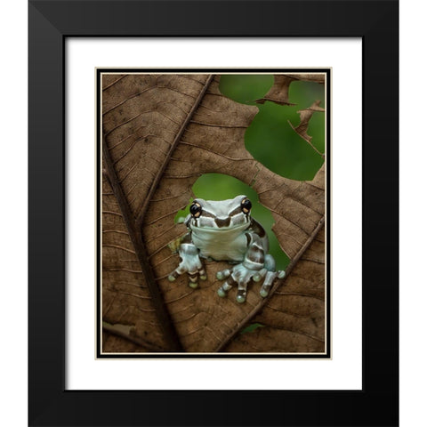 Looking At Window Black Modern Wood Framed Art Print with Double Matting by Tantoyensen