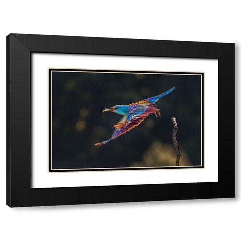 Busy For Feeding Black Modern Wood Framed Art Print with Double Matting by Zuo, Jun