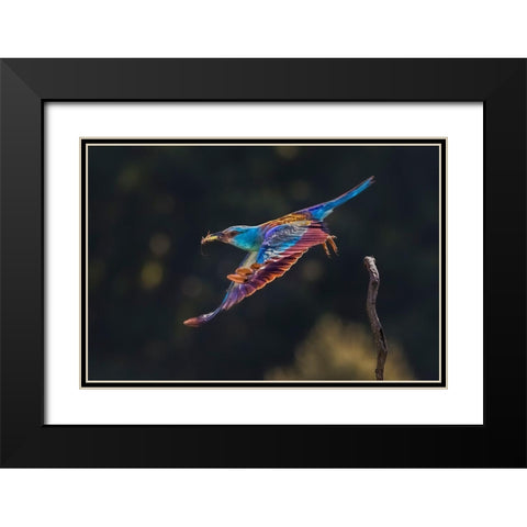 Busy For Feeding Black Modern Wood Framed Art Print with Double Matting by Zuo, Jun