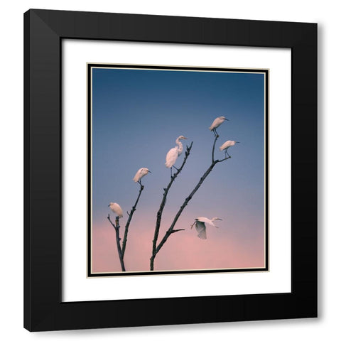Social Distancing Black Modern Wood Framed Art Print with Double Matting by P., Ruiqing
