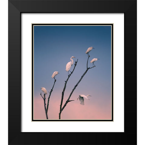 Social Distancing Black Modern Wood Framed Art Print with Double Matting by P., Ruiqing