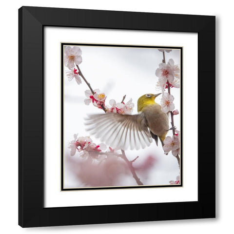 Dance With Plum Black Modern Wood Framed Art Print with Double Matting by miwa_sun_