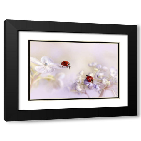 Small Friends Black Modern Wood Framed Art Print with Double Matting by Van Deelen, Ellen