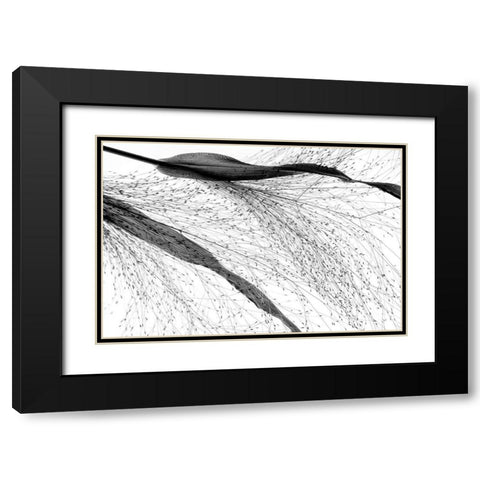 Black Grass Black Modern Wood Framed Art Print with Double Matting by Dingemans, Saskia